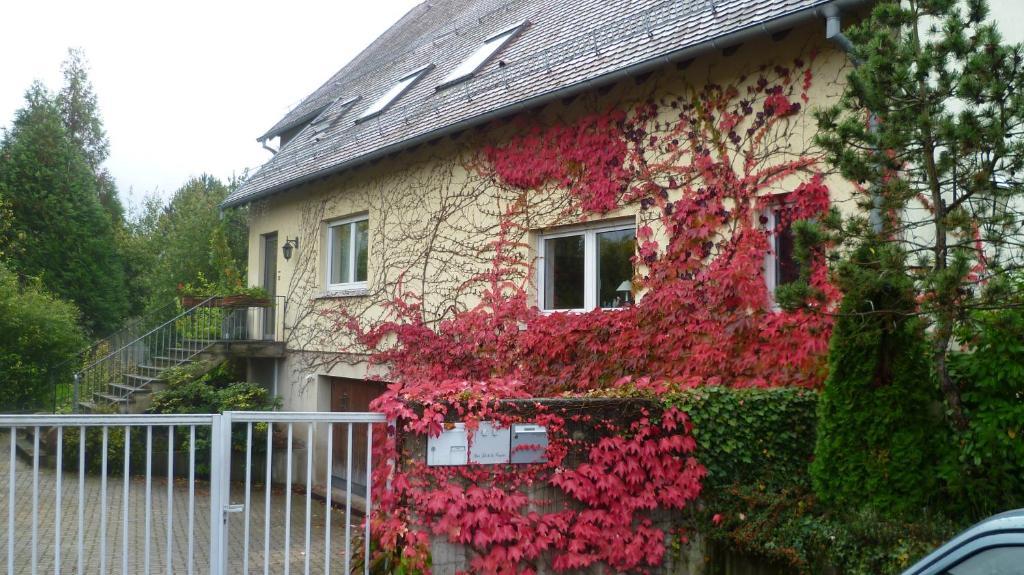 Bed and Breakfast Bois Joli De La Freyere Hindisheim Экстерьер фото